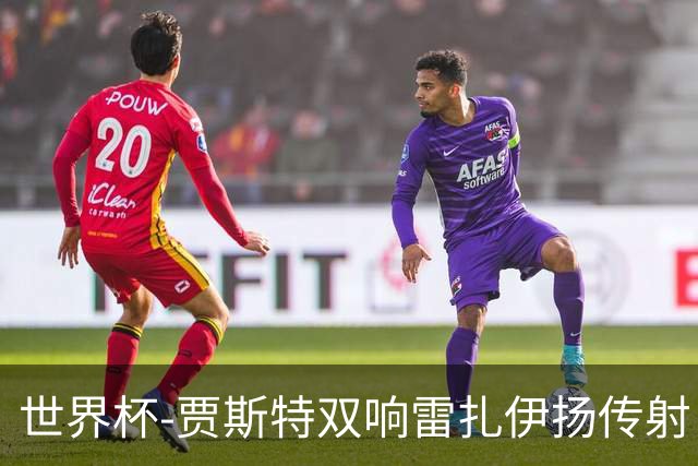 世界杯-贾斯特双响雷扎伊扬传射 伊朗两度扳平2-2新西兰
